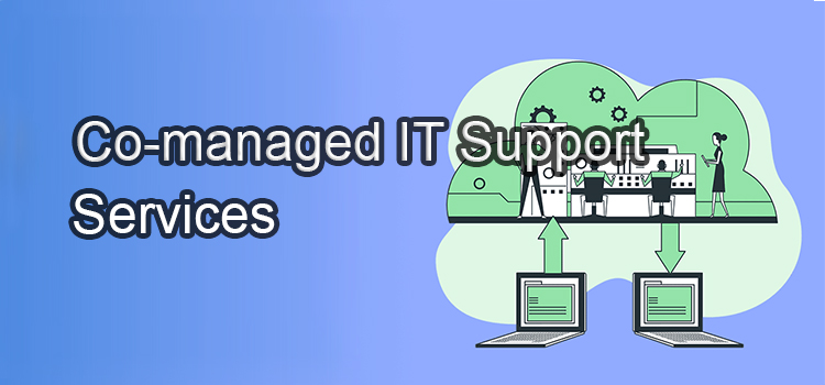 Managed IT Service Plans in Edgewater Park NJ, 08010