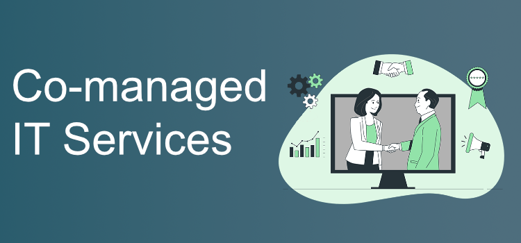 Co-Managed IT Support Services in Asbury Park NJ, 07712